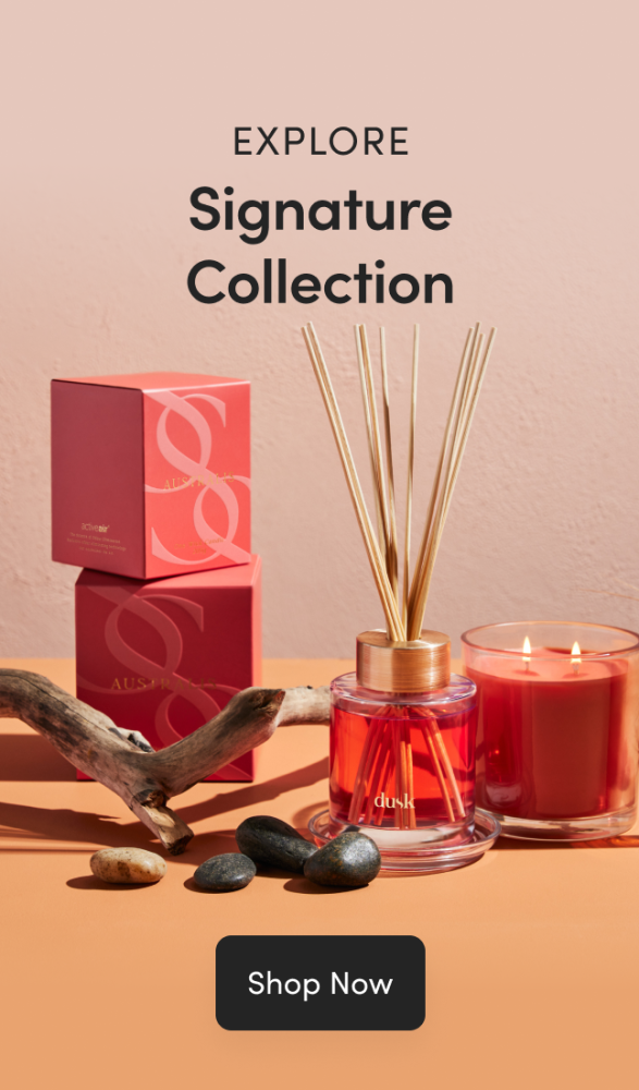 Explore the Signature Collection