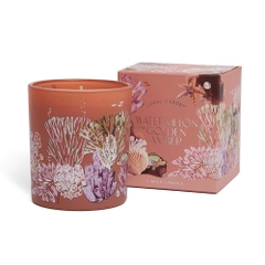 Watermelon & Golden Amber 1 Wick Scented Candle