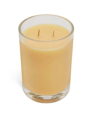 Sandalwood & Jasmine 2 Wick Outdoor Candle