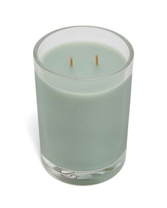 Lemongrass & Citronella 2 Wick Outdoor Candle