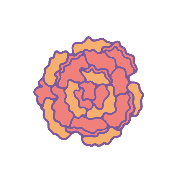 Sagittarius Zodiac Flower Icon